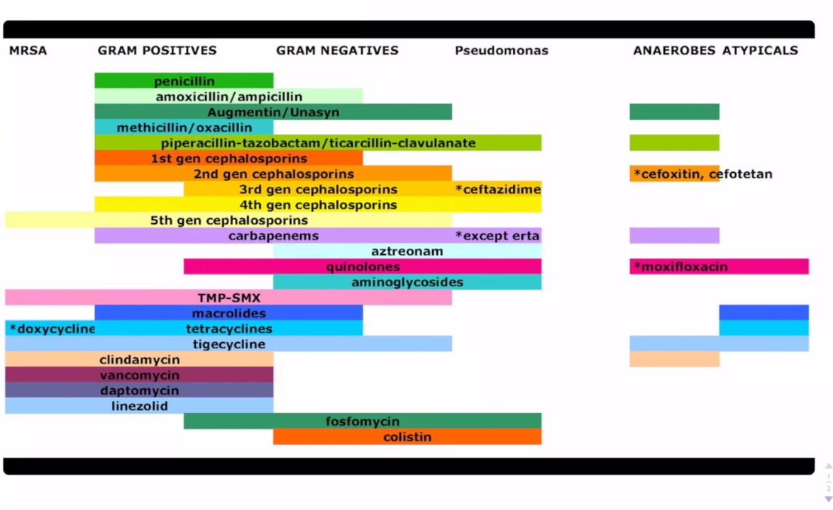 Antibiotic Coverage